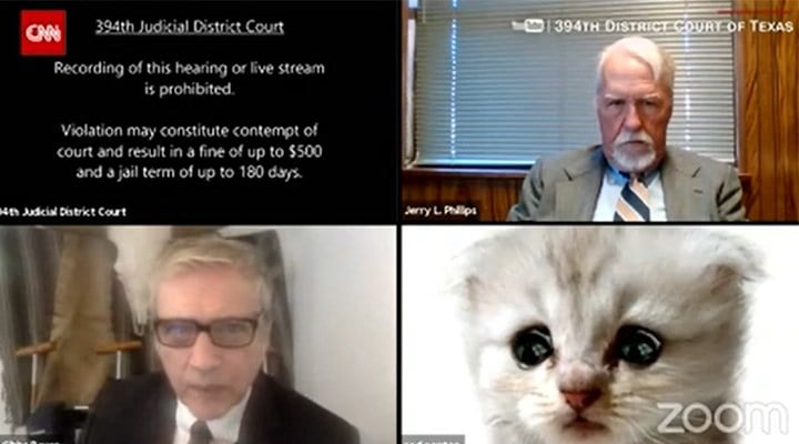 Online duruşmaya katılan avukat, kendisinin kedi olmadığına 'inandırmaya çalıştı'