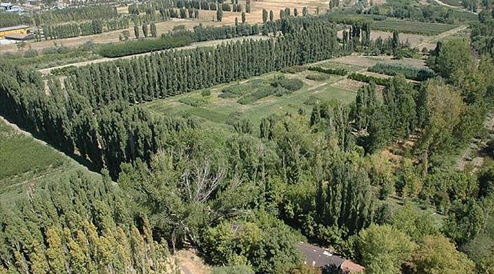 Atatürk Orman Çiftliği'nde talan devam ediyor
