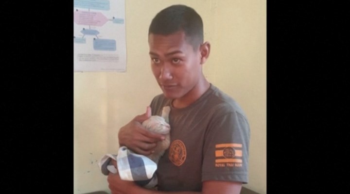 Taylandlı denizci, 4 kediyi sırtında taşıyarak yangından kurtardı