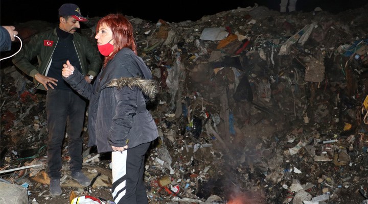 Ankara'da yakılmış köpek ölüsü bulundu: "Burada yaklaşık 40 hayvan kemiği var"
