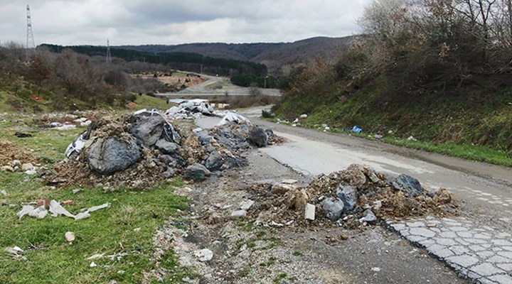Arnavutköy'de tarım alanı ve ormanlara kaçak kimyasal madde dökümü iddiası