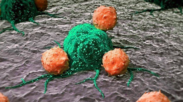 Araştırma: Yeni varyantlar, daha önce Covid-19 geçirenlerde gelişen T hücrelerinden kaçamıyor