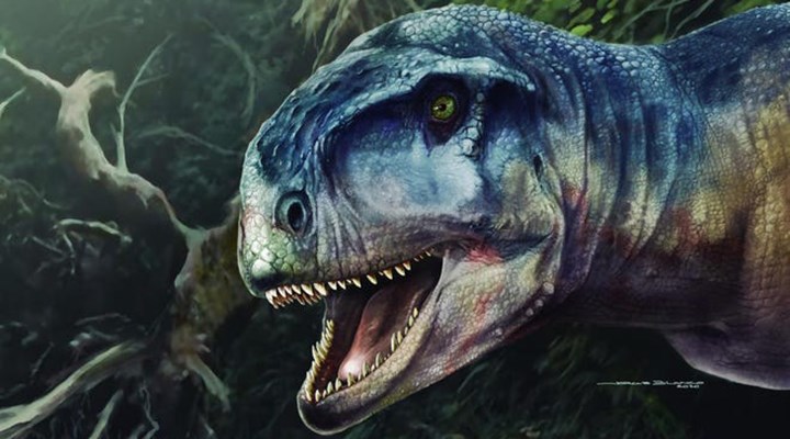 Arjantin'de T-Rex'e benzeyen yeni bir dinozor türü keşfedildi: 'Korkuya neden olan'