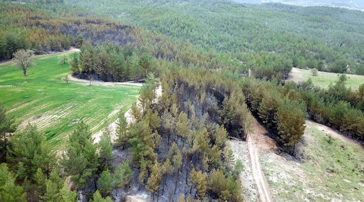 Muğla'daki orman yangınlarında sabotaj şüphesi: Soruşturma başlatıldı