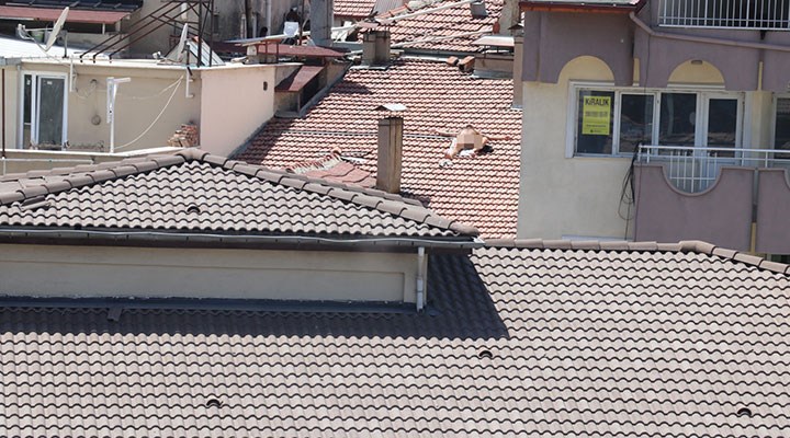 Burdur'da çatıda çıplak güneşlenen adam gözaltına alındı