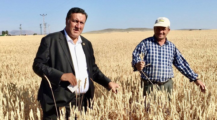 CHP’li Gürer: Buğdayda tehlike çanları çalıyor!