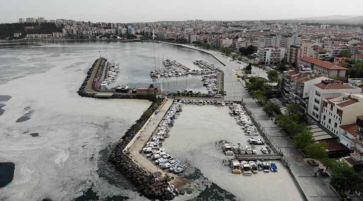 Müsilaj felakete doğru yol alıyor: Marmara, Karadeniz ve Kuzey Ege tehlikede