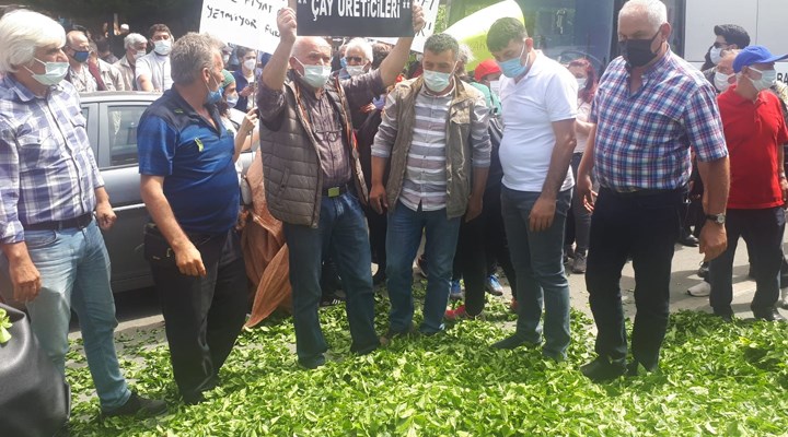Fındıklılı çay üreticilerinden kota eylemi: Çayları yola döktüler