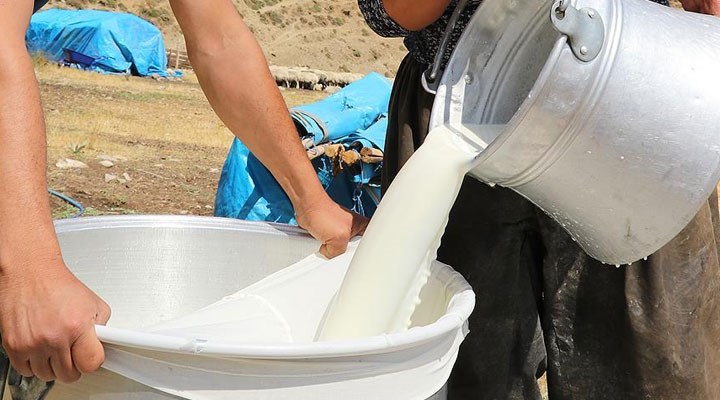 Çiğ süt fiyatı tepki çekti: “Bu fiyata ne üretim yapılabilir ne de tüketici süt alabilir”