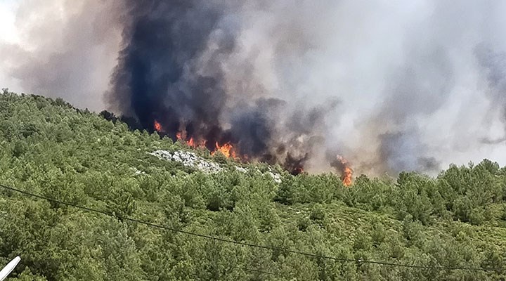 Bakan Pakdemirli, Kaş'taki orman yangınının kontrol altına alındığını açıkladı