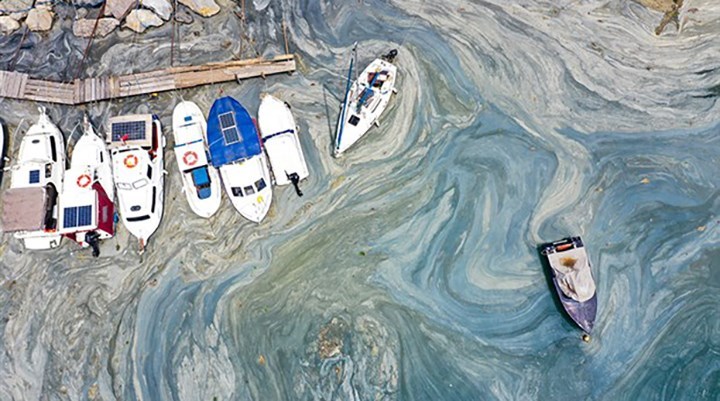 Pakdemirli: Şu an itibarıyla Marmara Denizi'nden çıkan balıklar tüketilebilir