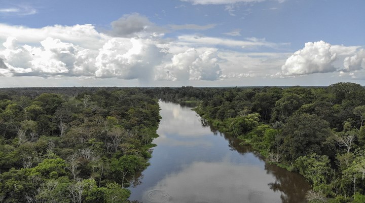İnsan etkisi sebebiyle, Amazon ormanlarının bir kısmı emdiğinden daha fazla karbondioksit salıyor
