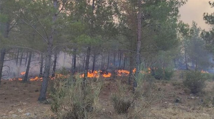 Mersin'de orman yangını: Ekipler bölgede