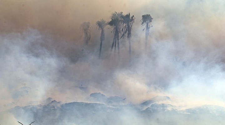 Antalya'da yangın: Göz gözü görmez oldu