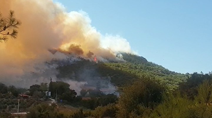 Osmaniye'de orman yangını: Köylüler tahliye edildi