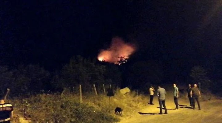 Bir orman yangını da Soma'da