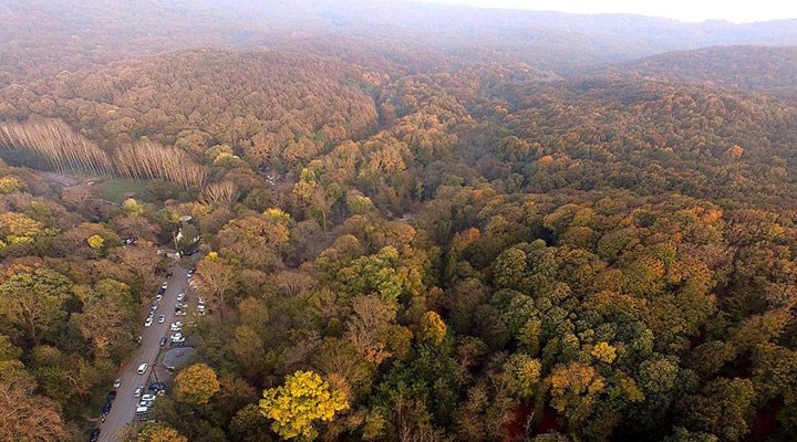 İstanbul Valiliği’nden ormanlara giriş yasağına ilişkin yeni açıklama