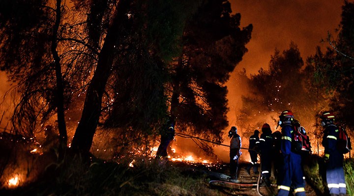 Orman yangını ekolojik felaket