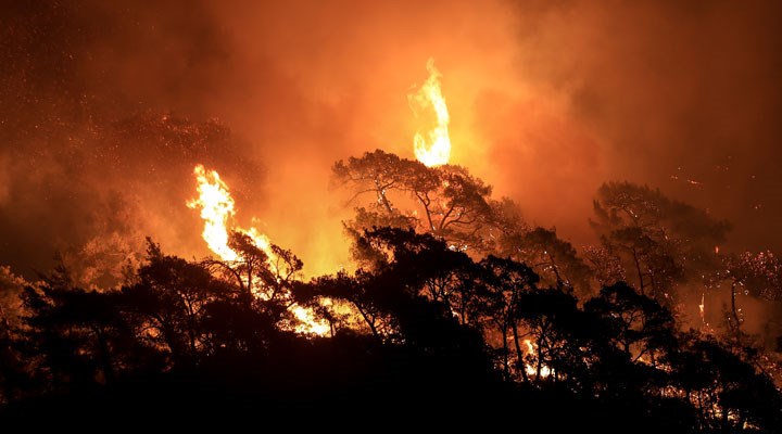 Orman yangınlarında son durum: 7 yerde yangınlar sürüyor, 8 yurttaş yaşamını yitirdi