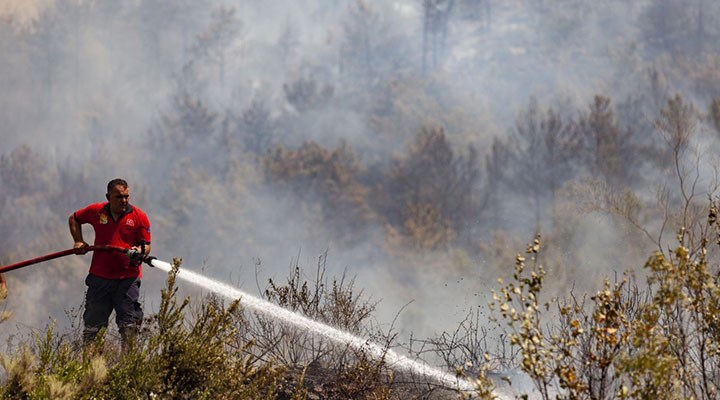 Tarım ve Orman Bakanı Pakdemirli: Gazipaşa, Silifke ve Bodrum yangınları kontrol altına alındı