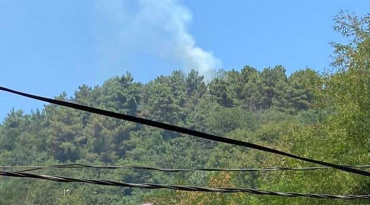 Beykoz'da orman yangını: 300 metrekare alan yandı