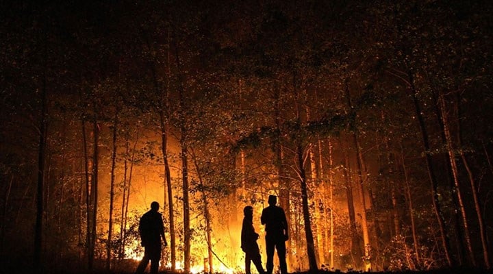 Rus çevre bilimci Laletin: Yangın yayılmadan söndürmek her zaman çok önemli