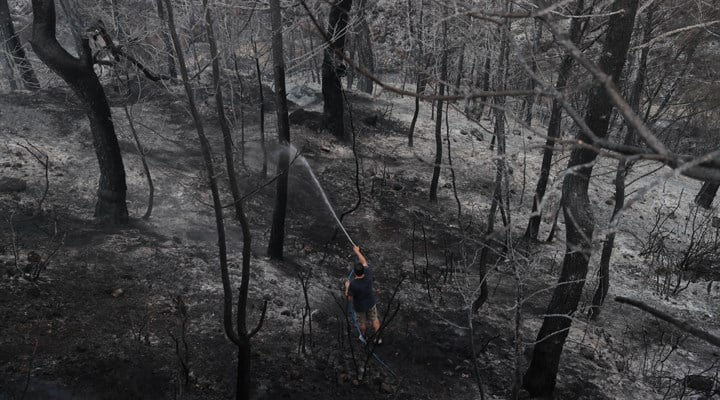 Orman yangınları 8. gününde: Yangın sayısı 16'ya, il sayısı 7'ye çıktı