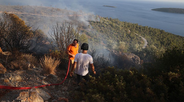 TÜSAD uyardı: Orman yangınları solunum sağlığı için de büyük tehdit
