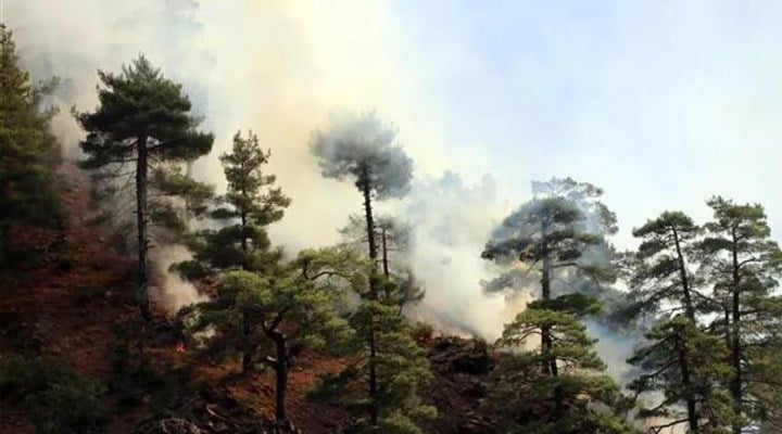 80 hektar alanın yandığı Aladağlar'da 24 saat nöbet