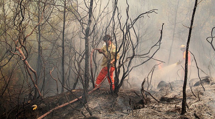 Orman işçilerinin çalışma şartları ağır, ekipmanları yetersiz: Cerrahi maskeyle yangın mücadelesi!