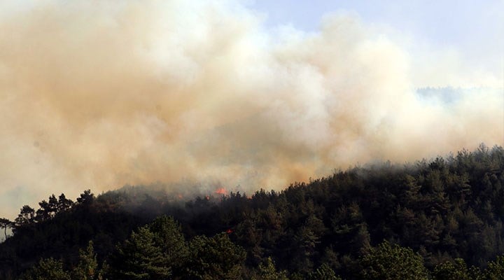 Orman yangınlarında 11. gün: 5 orman yangını devam ediyor