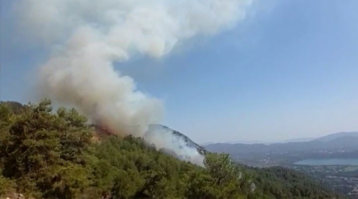 Orman yangınlarında son durum: 240 yangından 235'i kontrol altına alındı