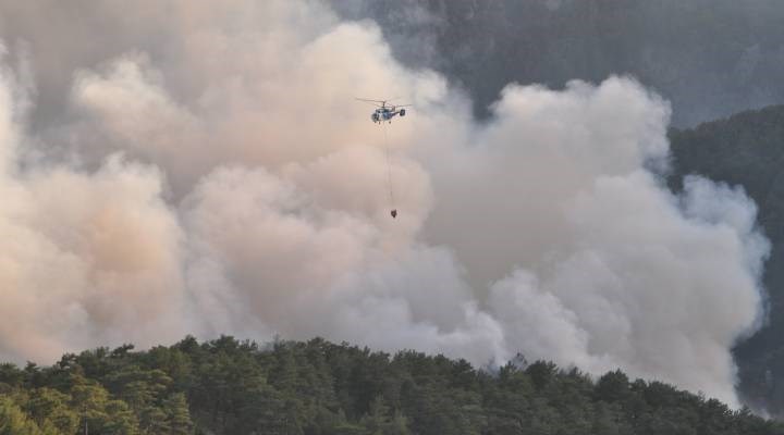 Orman yangınları| Muğla Milas kontrol altına alındı