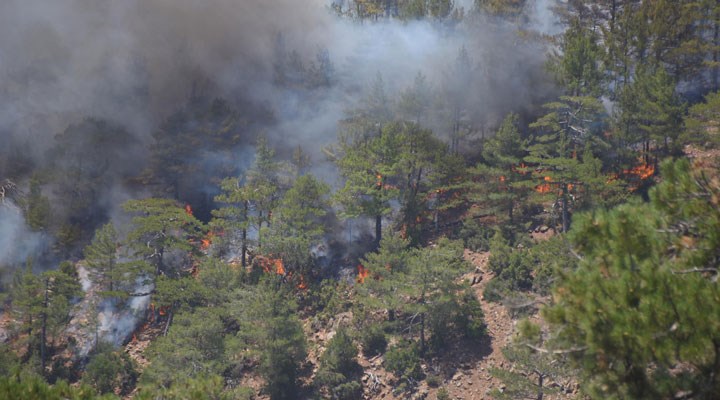 275 yangından 274'ü kontrol altına alındı; Köyceğiz hala yanıyor