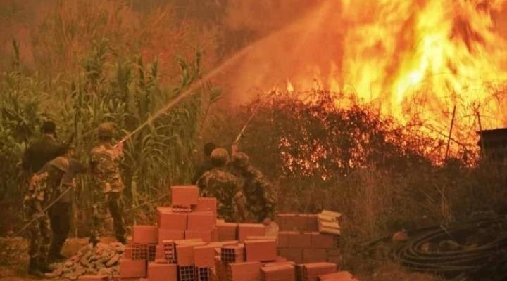 Cezayir'deki yangınlarda 69 kişi hayatını kaybetti