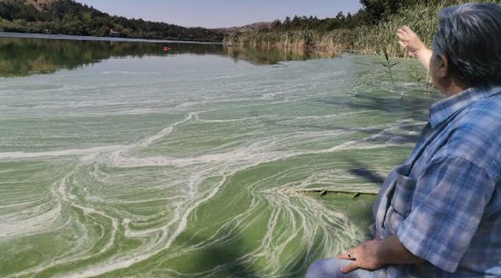 Eymir Gölü de kirlendi: Müsilaja benzetilen görüntü tedirgin ediyor