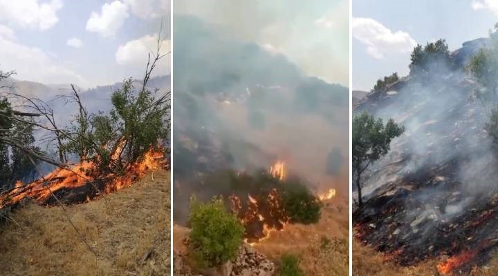 Hakkari Şemdinli'de orman yangını kontrol altına alındı