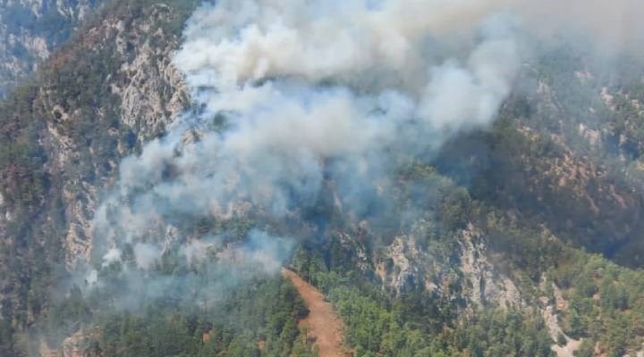 Muğla Köyceğiz'de orman yangını başladı