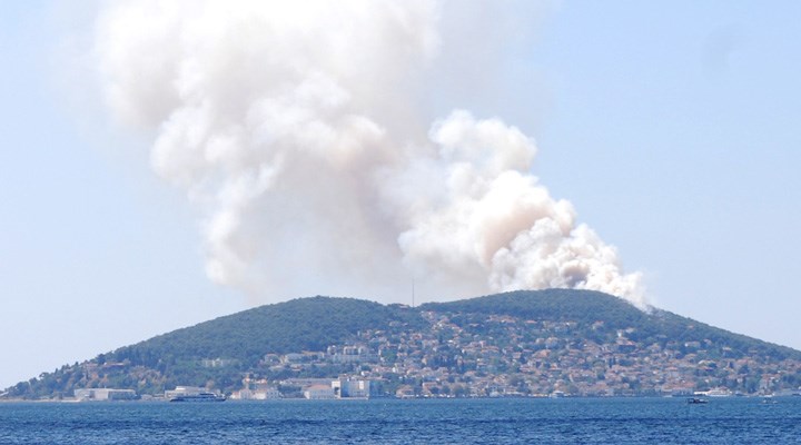 Heybeliada’da orman yangını: Kontrol altına alındı