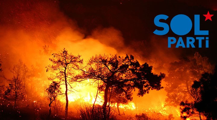 SOL Parti'den 'Orman Yangınları' raporu: Yetkisiz OGM’den altın tepside orman