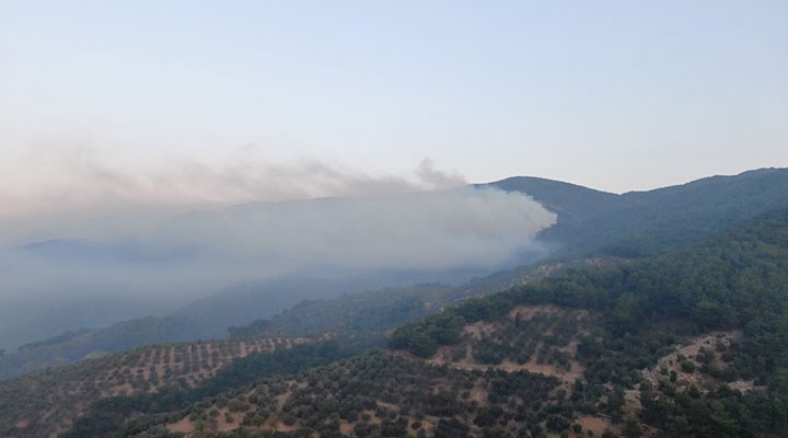 Kazdağları'ndaki yangında ikinci gün: Havadan müdahale tekrar başladı