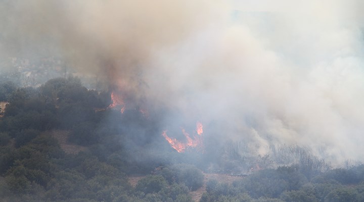 Orman Genel Müdürlüğü: Bugün çıkan 7 yangın kontrol altına alındı