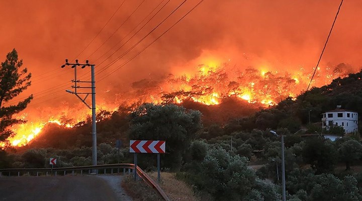 Orman İşletme Müdürlüğü, yangınlardan önce çıktığı ihalenin sözleşmesini yangından sonra imzaladı