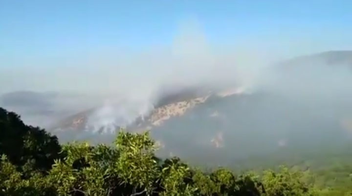 Dersim'deki orman yangını 12. gününde: Havadan müdahale şart