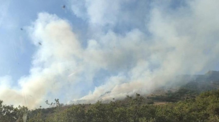 Bingöl'de 2 farklı noktada orman yangını