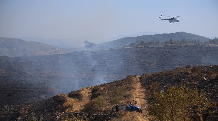 OGM: 14 orman ve 11 kırsal alan yangınının tamamı kontrol altına alındı