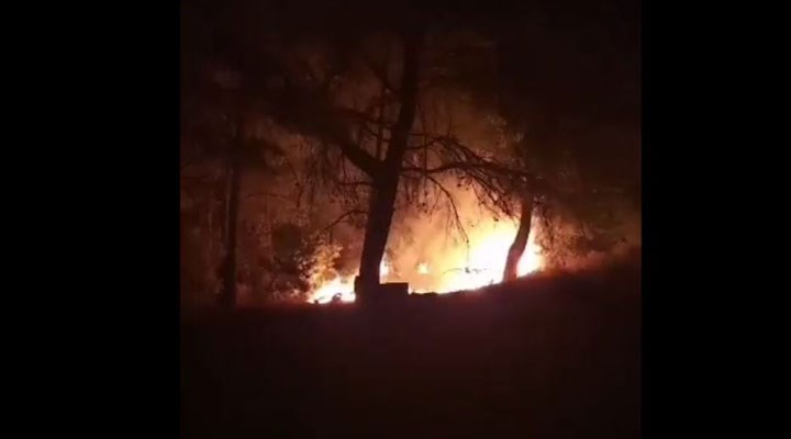 Datça’da orman yangını büyümeden kontrol altına alındı