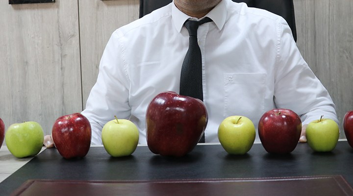 Isparta'daki bir bahçede 766 gramlık elma yetişti