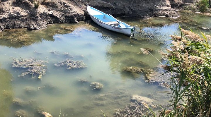 Türkiye’deki 8 göl incelendi: Siyonobakteri istilası gölleri çürütüyor