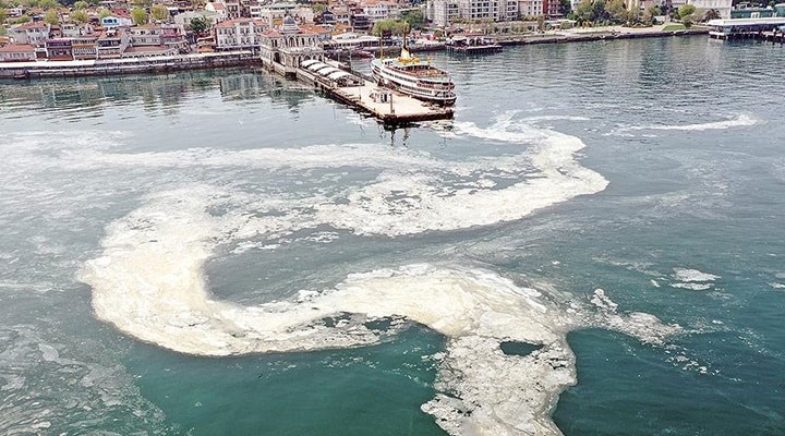 Prof. Dr. Mustafa Sarı: Marmara Denizi soğuyamıyor, müsilaj tehlikesi yine kapıda